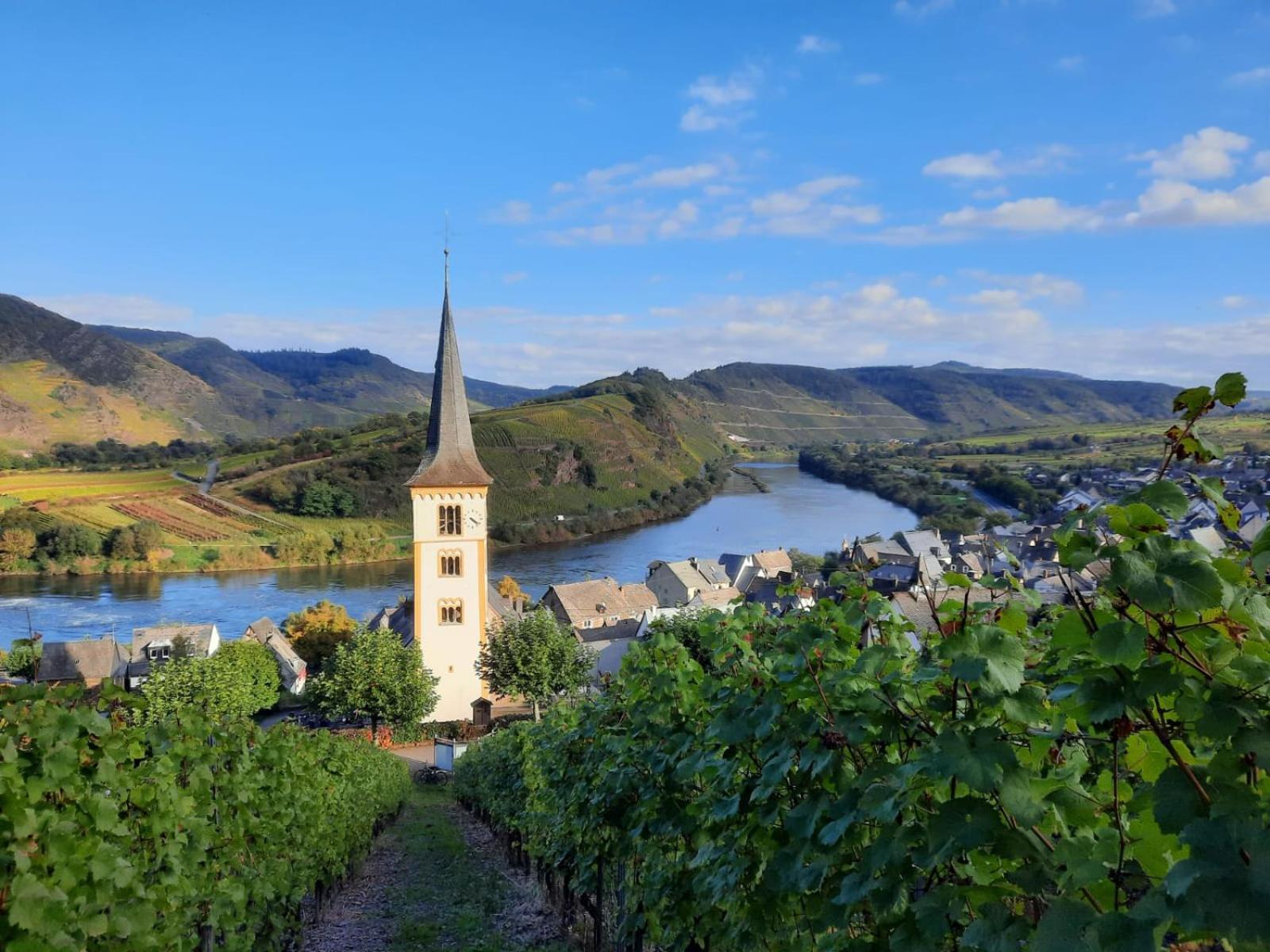 Апартаменты Winzerhaus Schenk Neef Экстерьер фото