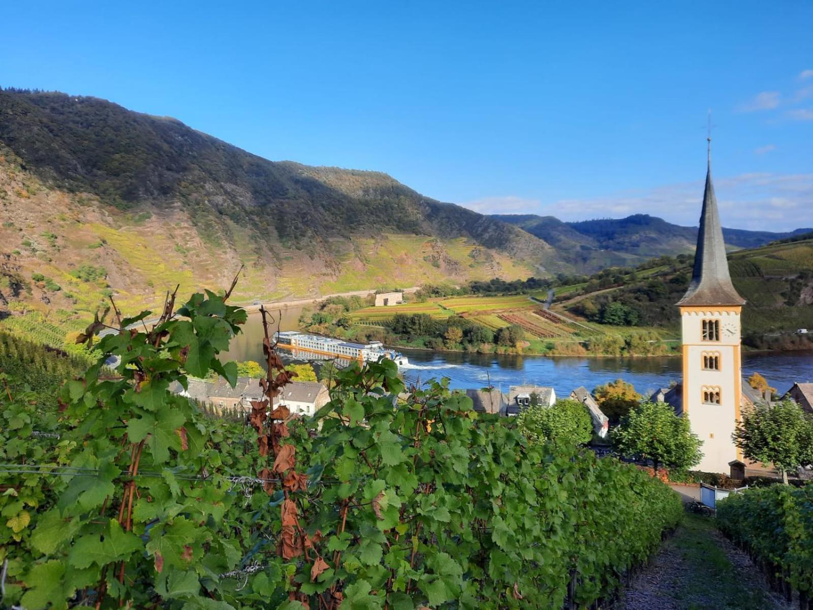 Апартаменты Winzerhaus Schenk Neef Экстерьер фото